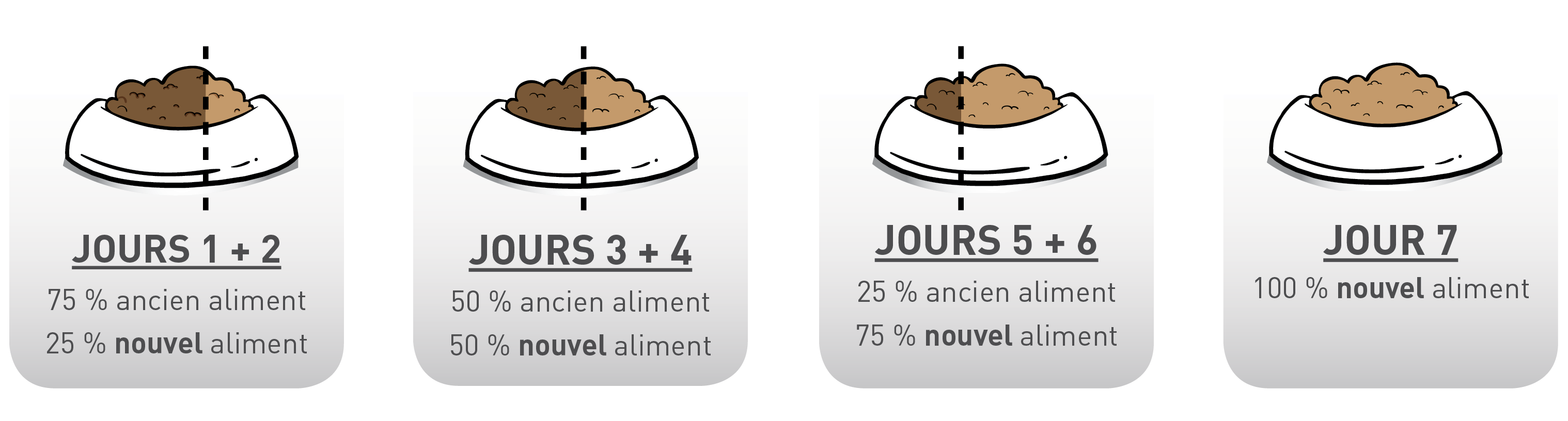 Transition Alimentaire Comment Faire Une Gamelle Au Top