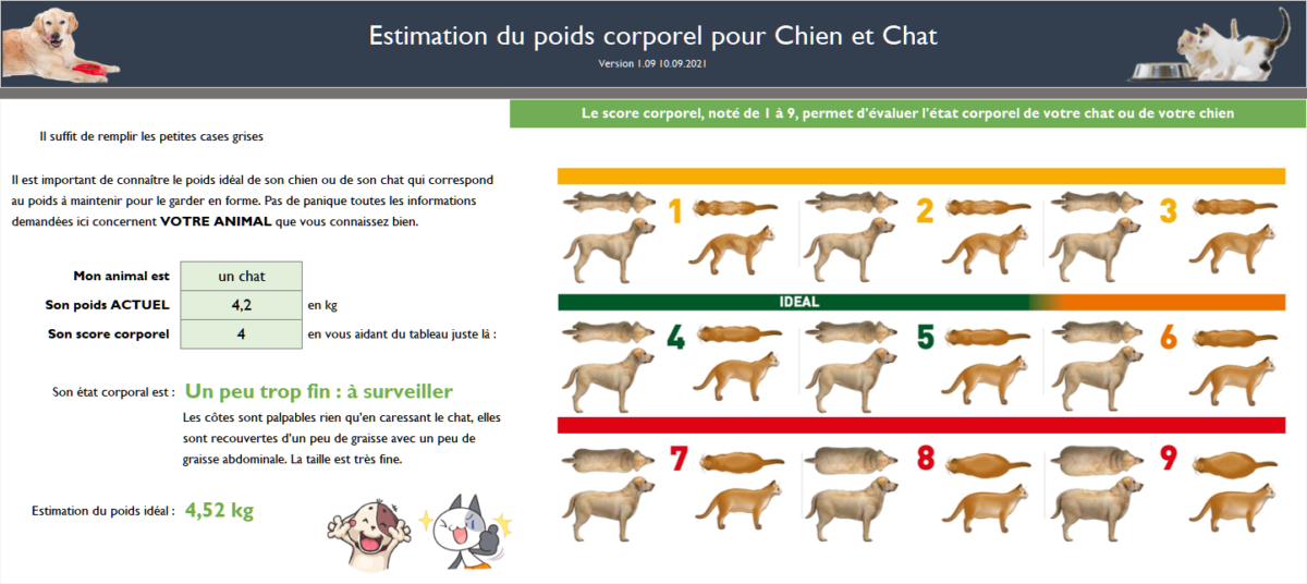 Calculateur de poids idéal pour chat et chien (tuto) Une gamelle au top