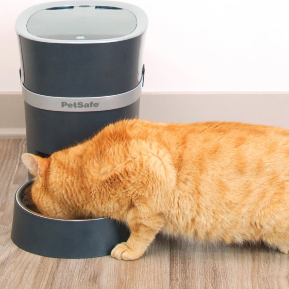 PetSafe Smart Feed gamelle connectée chat