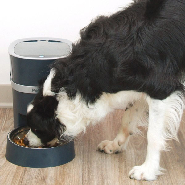 PetSafe Smart Feed gamelle connectée chien