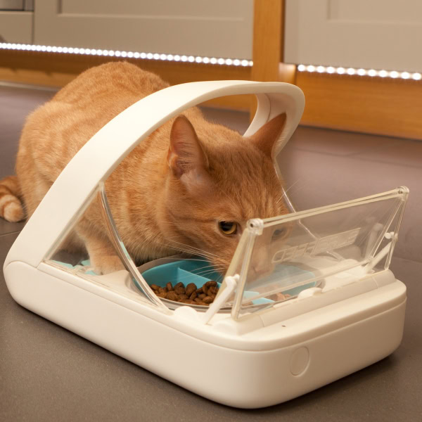 Surefeed Microchip Pet Feeder